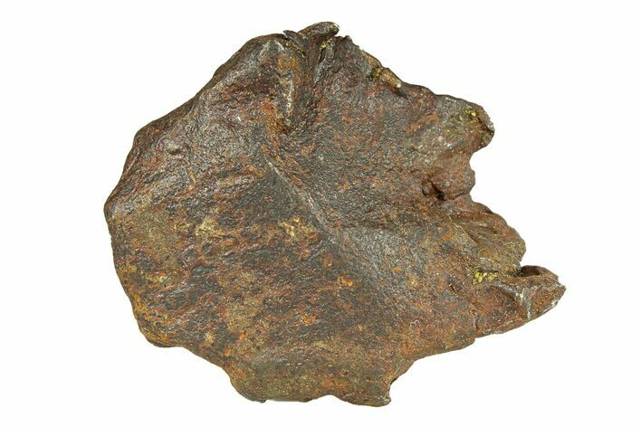 Gebel Kamil Iron Meteorite Fragment ( g) - Egypt #291798